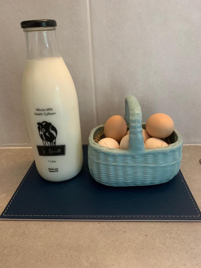 斯旺西The Little Cow Shed别墅 外观 照片